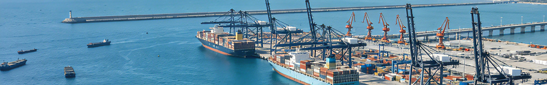 자유무역항 정책